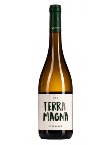 TERRA MAGNA  Encruzado White Wine 75CL